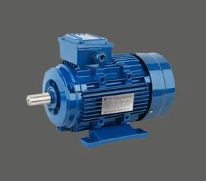 มอเตอร์เหนี่ยวนำ AC Y2-1 สำหรับปั้มพัดลม