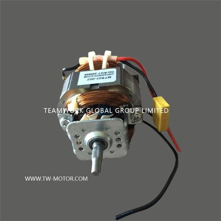 High Frequency Juicer Motor