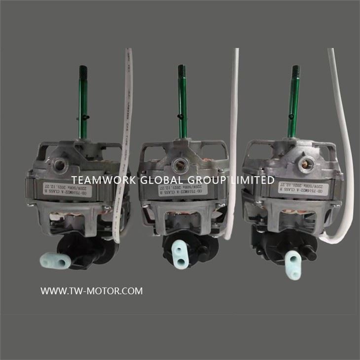 Household Wall Fan Motor