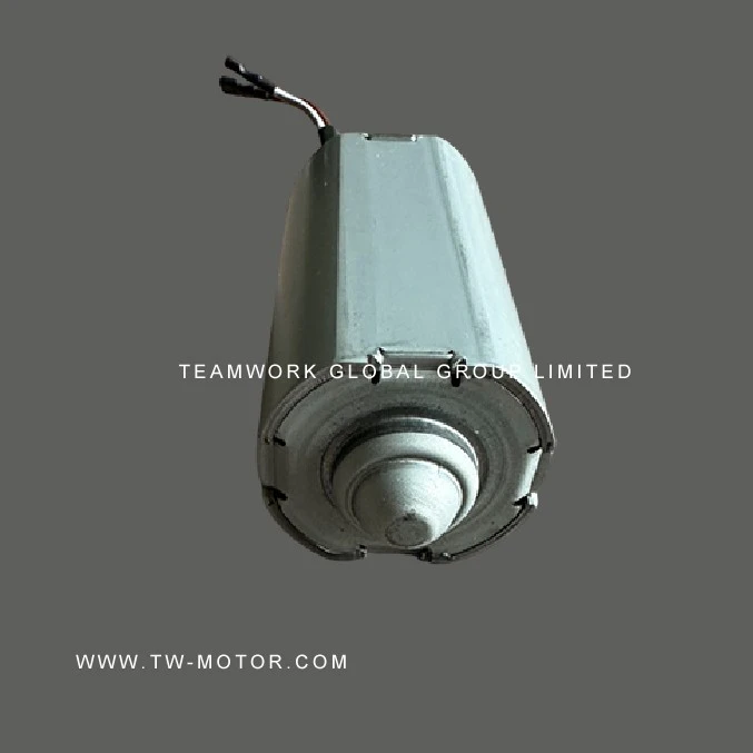 Electric Toy Motor