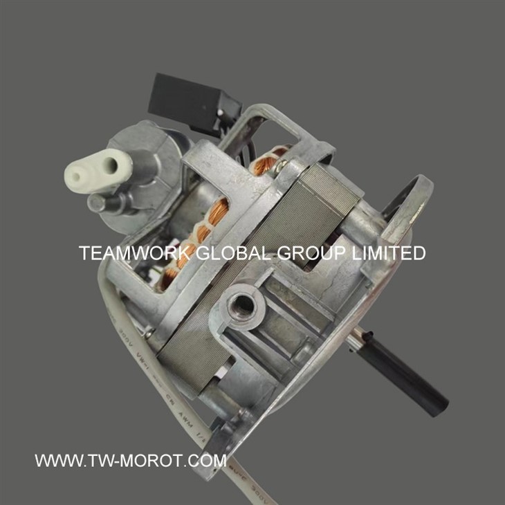 Household Ceiling Fan Motor